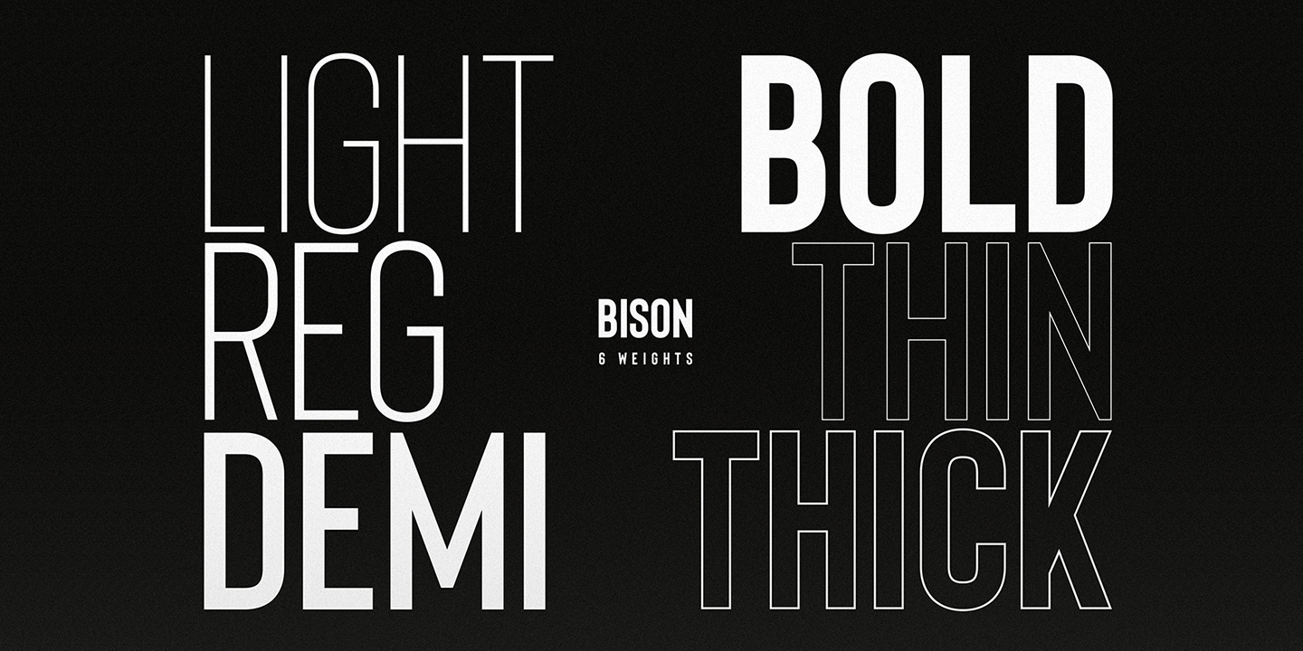 Example font Bison #15
